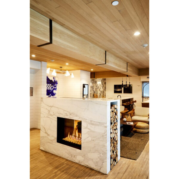 Camino a gas a flusso bilanciato Linea Tunnel 75×65 British Fires - immagine 2